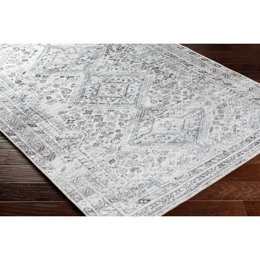Amelie Rug-2380 - Chapin Furniture