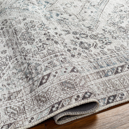 Amelie Rug-2380 - Chapin Furniture