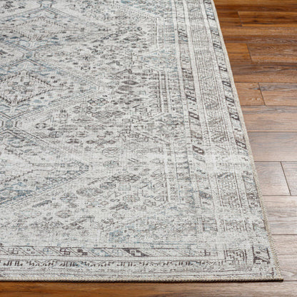 Amelie Rug-2380 - Chapin Furniture