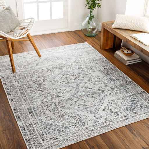 Amelie Rug-2380 - Chapin Furniture