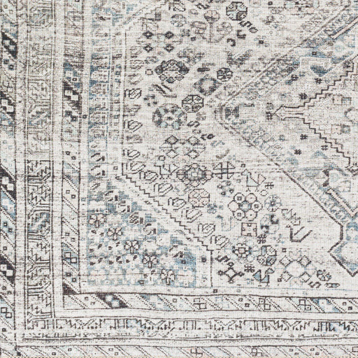 Amelie Rug-2380 - Chapin Furniture