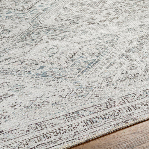 Amelie Rug-2380 - Chapin Furniture