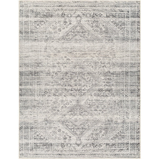 Amelie Rug-2381 - Chapin Furniture
