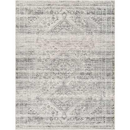 Amelie Rug-2381 - Chapin Furniture