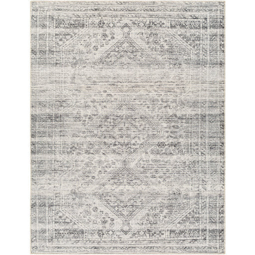 Amelie Rug-2381 - Chapin Furniture