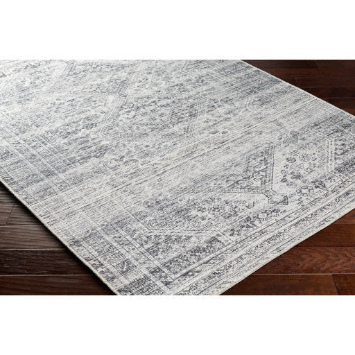 Amelie Rug-2381 - Chapin Furniture