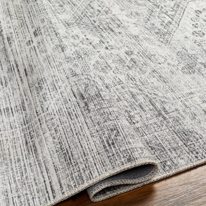 Amelie Rug-2381 - Chapin Furniture