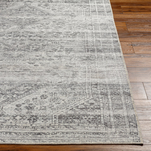 Amelie Rug-2381 - Chapin Furniture