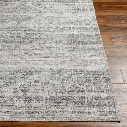 Amelie Rug-2381 - Chapin Furniture