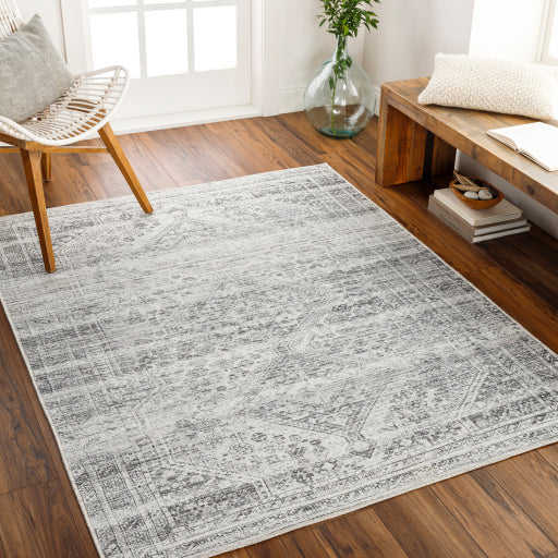 Amelie Rug-2381 - Chapin Furniture
