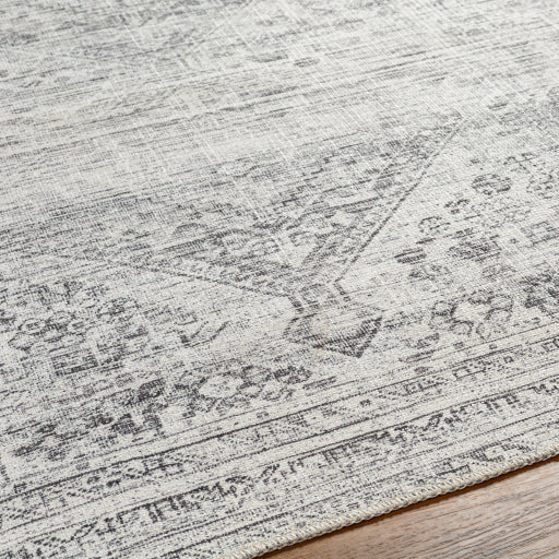 Amelie Rug-2381 - Chapin Furniture