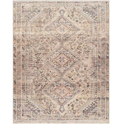 Amelie Rug-2382 - Chapin Furniture