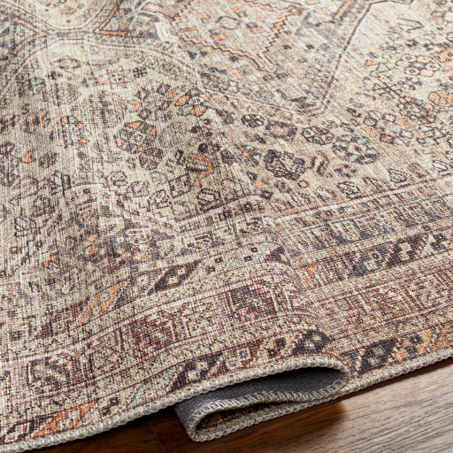 Amelie Rug-2382 - Chapin Furniture