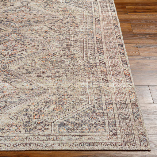 Amelie Rug-2382 - Chapin Furniture