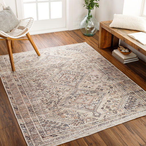 Amelie Rug-2382 - Chapin Furniture