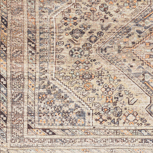 Amelie Rug-2382 - Chapin Furniture