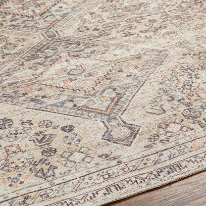 Amelie Rug-2382 - Chapin Furniture