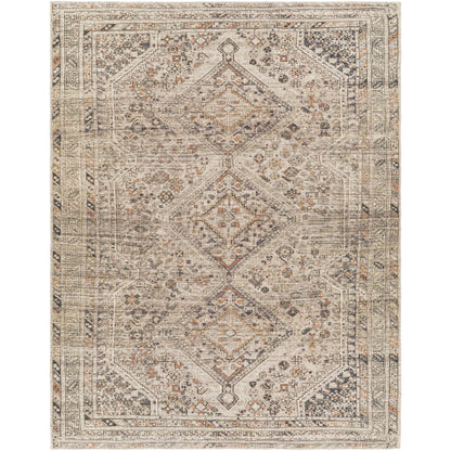 Amelie Rug-2383 - Chapin Furniture