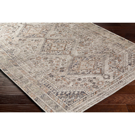 Amelie Rug-2383 - Chapin Furniture