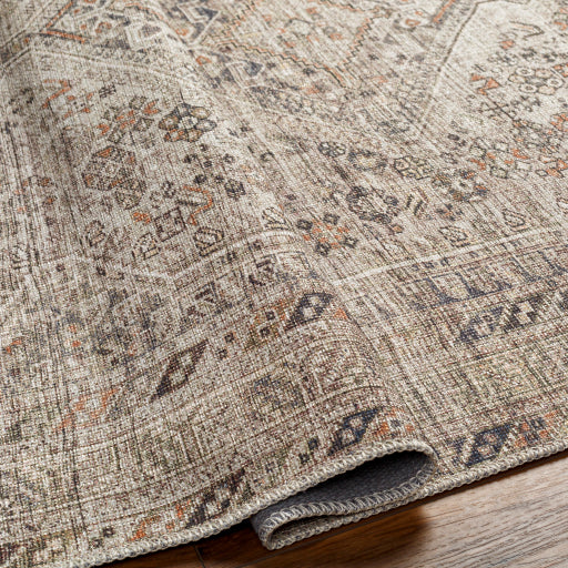 Amelie Rug-2383 - Chapin Furniture