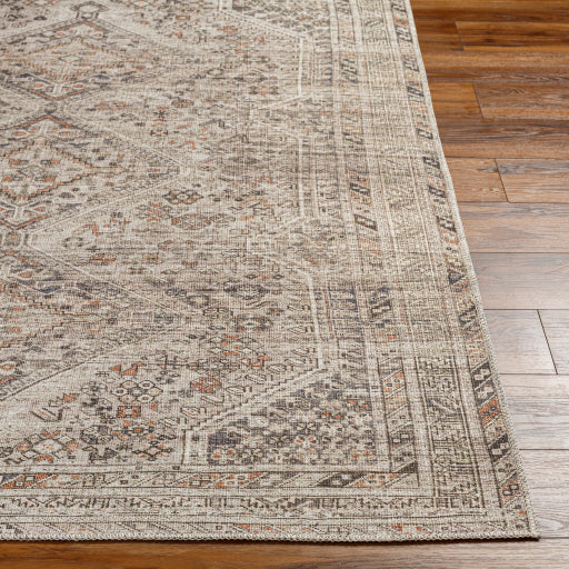 Amelie Rug-2383 - Chapin Furniture