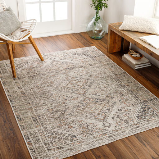 Amelie Rug-2383 - Chapin Furniture