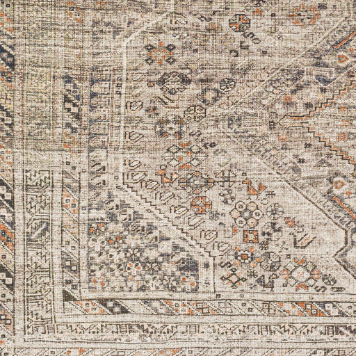 Amelie Rug-2383 - Chapin Furniture