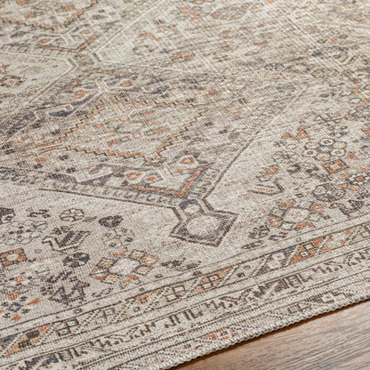 Amelie Rug-2383 - Chapin Furniture