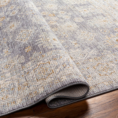 Avant Garde Rug-2341 - Chapin Furniture