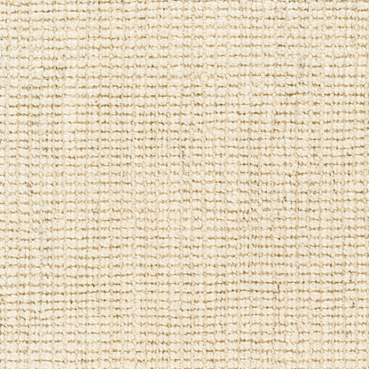 Becki Owens Calla Jute Rug- Beige - Chapin Furniture
