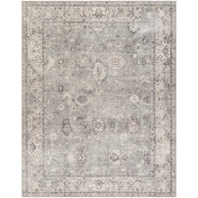 Becki Owens Davina Rug- Sage - Chapin Furniture