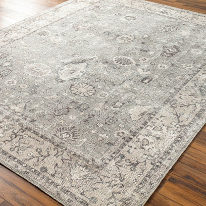 Becki Owens Davina Rug- Sage - Chapin Furniture