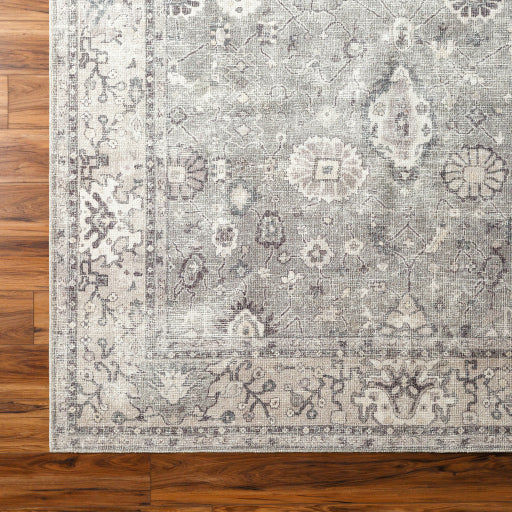 Becki Owens Davina Rug- Sage - Chapin Furniture
