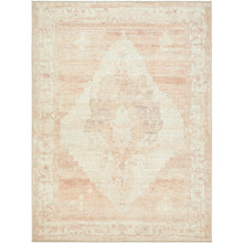 Becki Owens Luca Rug- Dusty Pink - Chapin Furniture