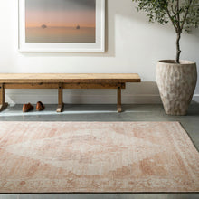 Becki Owens Luca Rug- Dusty Pink - Chapin Furniture