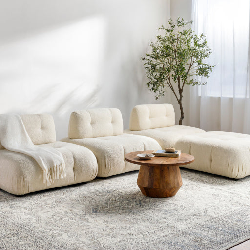 Becki Owens Margot Rug- Light Grey - Chapin Furniture