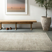 Becki Owens Margot Rug- Olive - Chapin Furniture