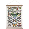 Butterfly Canvas Wall Decor - Chapin Furniture