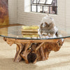 Hidden Treasures Root Ball Cocktail Table - Chapin Furniture