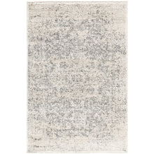 Harput Gray Rug - Chapin Furniture