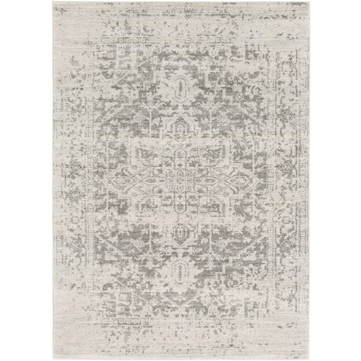 Harput Gray Rug - Chapin Furniture