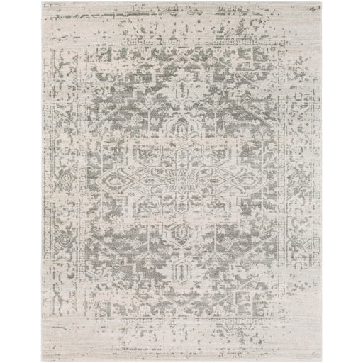 Harput Gray Rug - Chapin Furniture