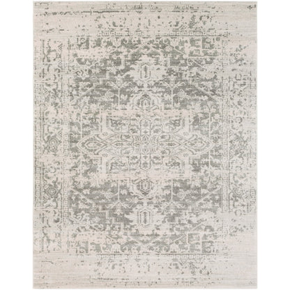 Harput Gray Rug - Chapin Furniture