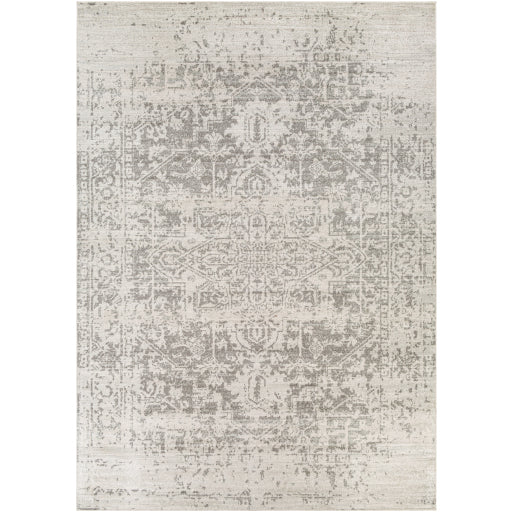 Harput Gray Rug - Chapin Furniture