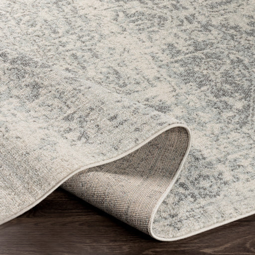 Harput Gray Rug - Chapin Furniture
