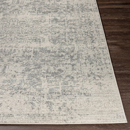 Harput Gray Rug - Chapin Furniture