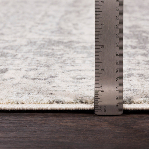 Harput Gray Rug - Chapin Furniture
