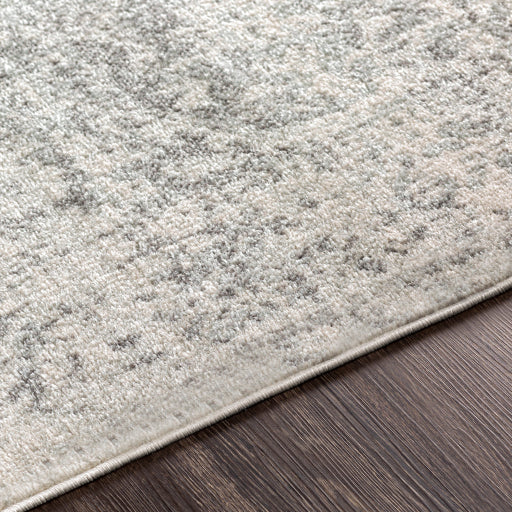 Harput Gray Rug - Chapin Furniture