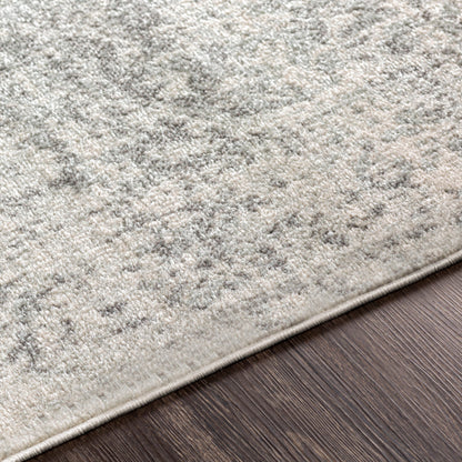 Harput Gray Rug - Chapin Furniture