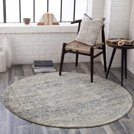 Harput Gray Rug - Chapin Furniture